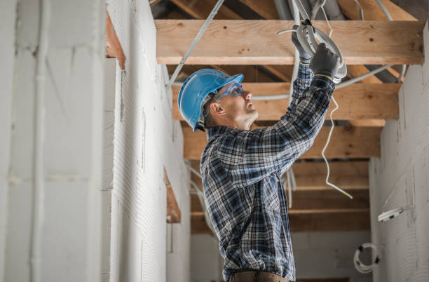 Best Electrical Upgrades for Homes  in Oglethorpe, GA