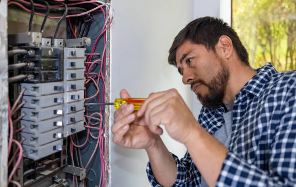 Best Electrician for Home Renovation  in Oglethorpe, GA